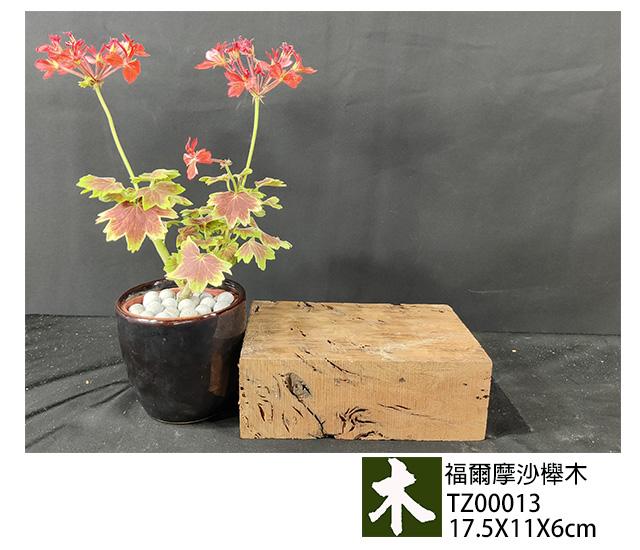 福爾摩沙紅櫸木