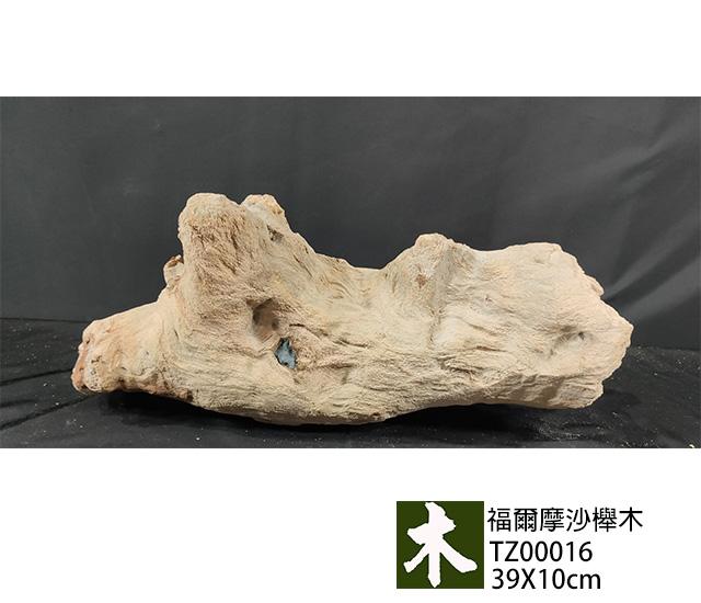 福爾摩沙紅櫸木