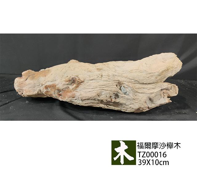 福爾摩沙紅櫸木