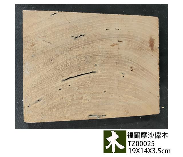 福爾摩沙櫸木
