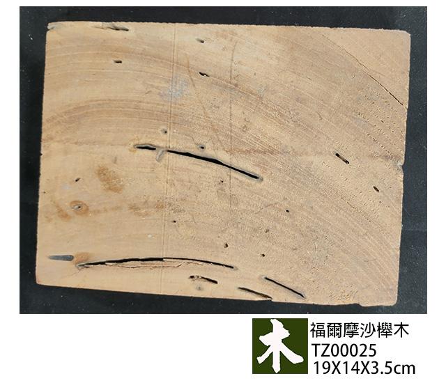 福爾摩沙櫸木