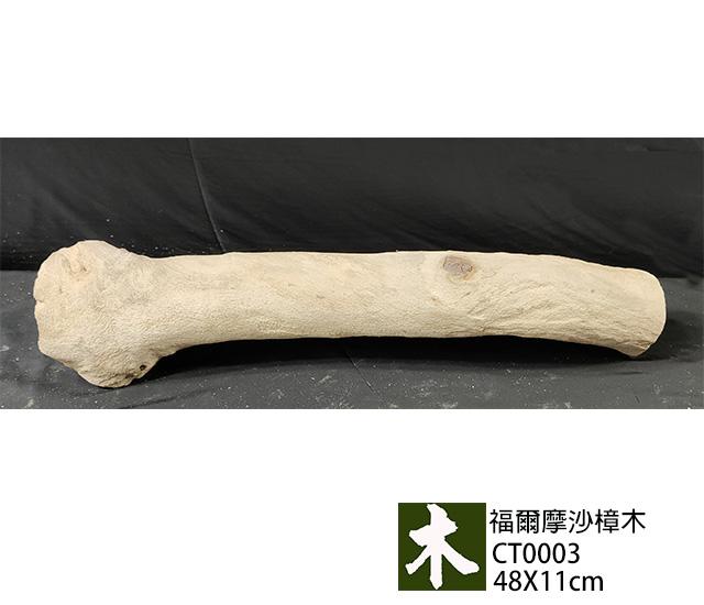 福爾摩沙樟木