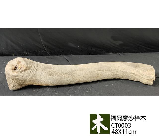 福爾摩沙樟木