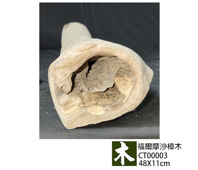 福爾摩沙樟木