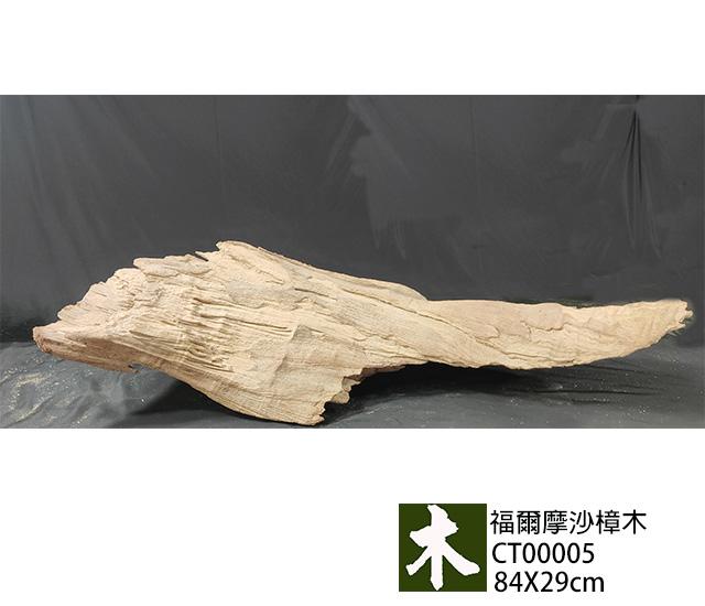 福爾摩沙樟木