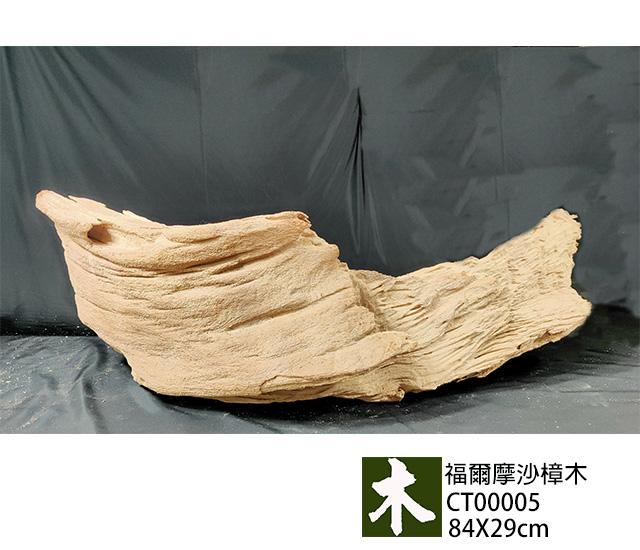 福爾摩沙樟木
