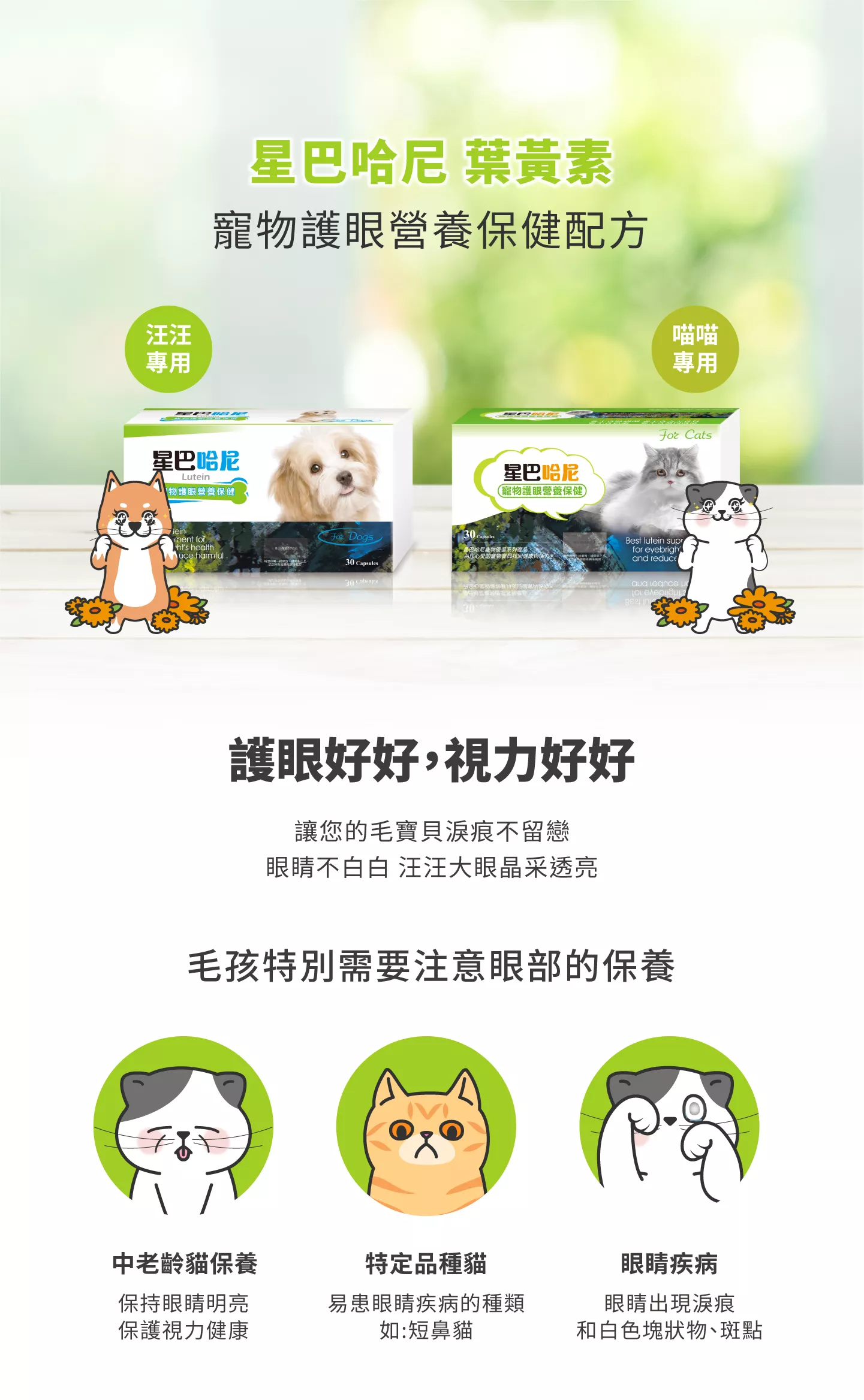 星巴哈尼A犬用-護眼保健