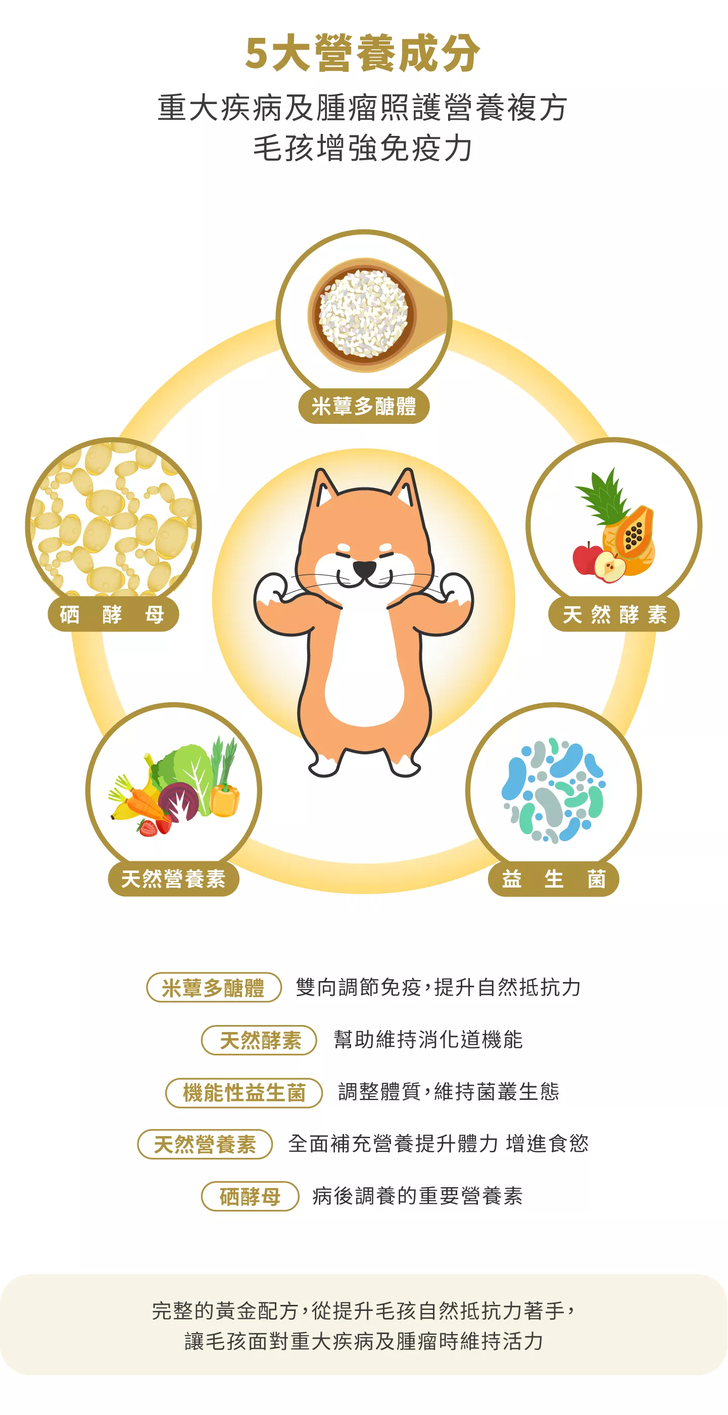 1987_649aa37911a6d.png