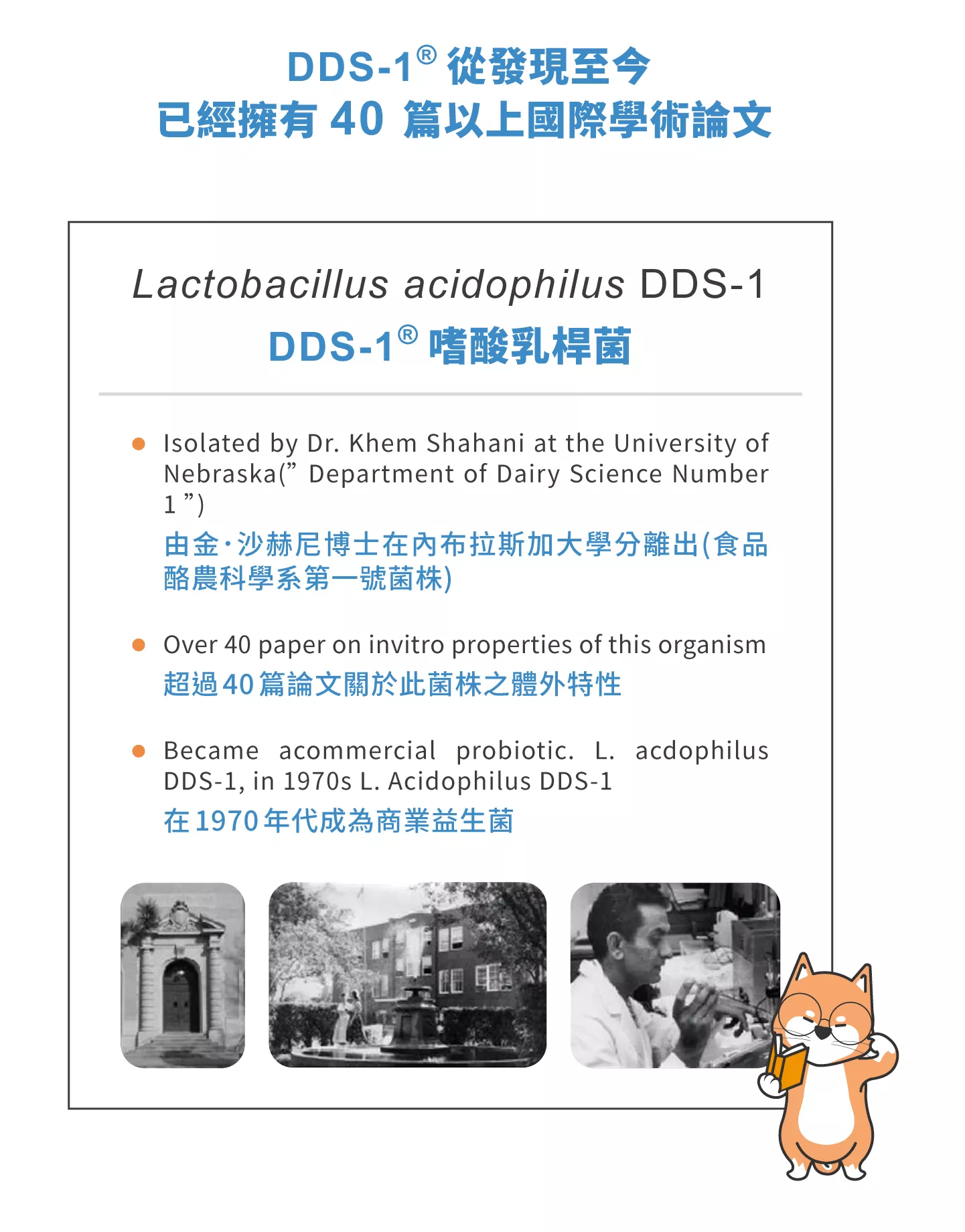 1987_649b9eea2ef33.png