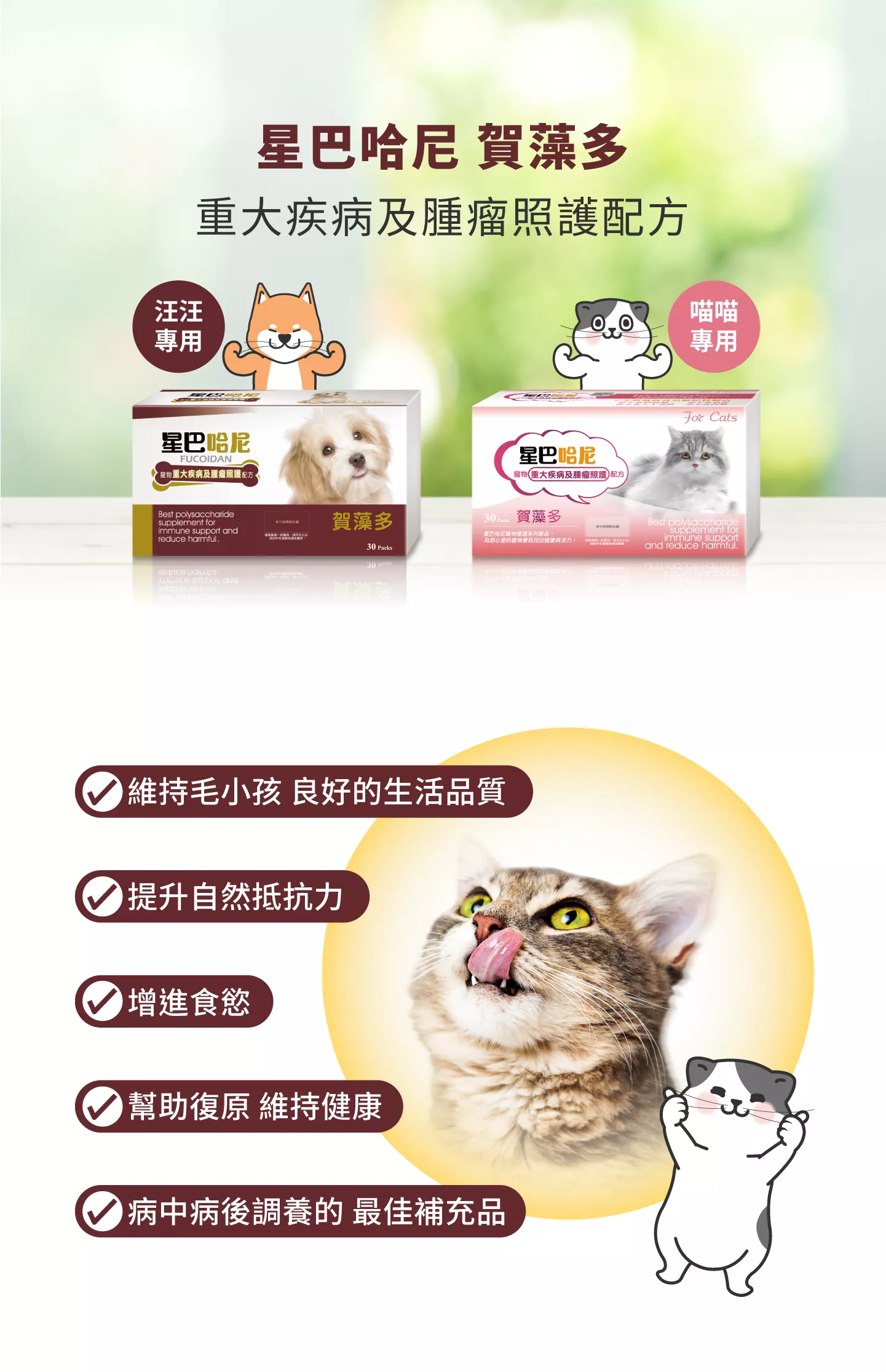 星巴哈尼貓用-賀藻多腫瘤照護