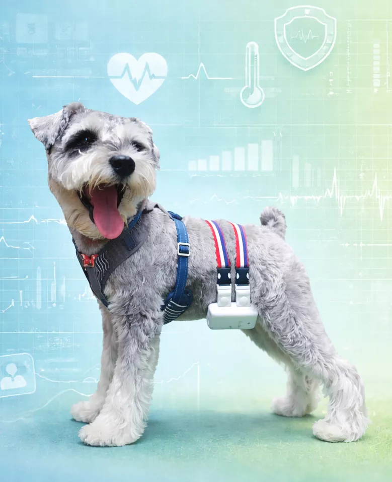 派特康寵物AI健康量測-單次