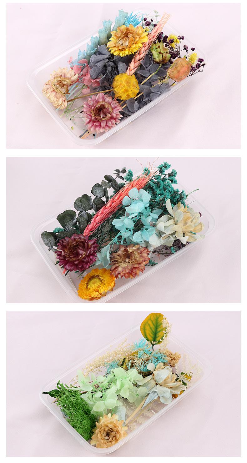 【永生乾燥花材料包】