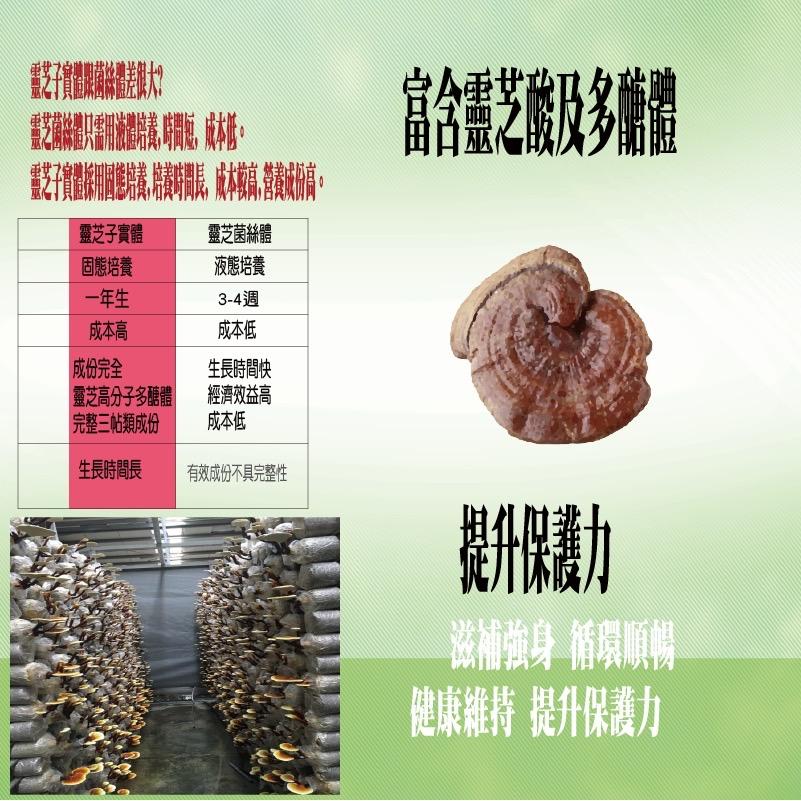 康建生產  天地人 靈芝複方 500mg/60粒(錠劑) 靈芝蛋白-GMI防疫不缺席
