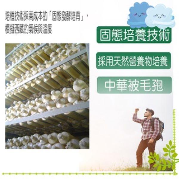 康建 冬蟲夏草 單方5倍濃縮菌絲體(購買3盒贈象印保溫杯) 中華被毛孢 60顆一盒