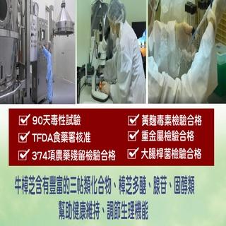 康建生產 牛樟芝 樟芝王 4倍濃縮 單方牛樟芝子實體+菌絲體膠囊 每顆都有感 膠囊 天地人樟芝王 60顆/瓶 調整體質