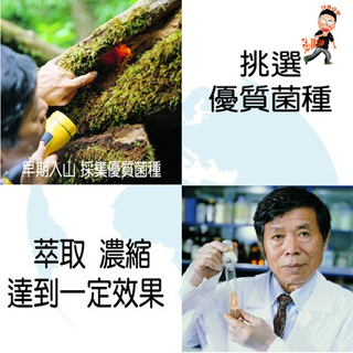 康建生產 牛樟芝 樟芝王 4倍濃縮 單方牛樟芝子實體+菌絲體膠囊 每顆都有感 膠囊 天地人樟芝王 60顆/瓶 調整體質