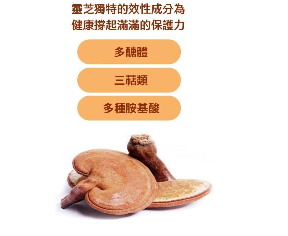 康建生產 天地人極品靈芝 10倍濃縮 靈芝子實體 極品靈芝 多醣體膠囊