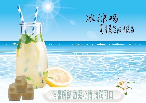 蔡薑君 益生菌冰糖菊花茶磚 蔡薑君 菊花 降退火低卡清涼生津止渴