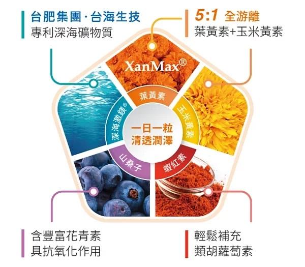 金盞花萃取物 葉黃素山桑子 膠囊  (原廠公司貨)【台肥集團 台海生技】金盞花 葉黃素 深海激鎂 30粒/盒