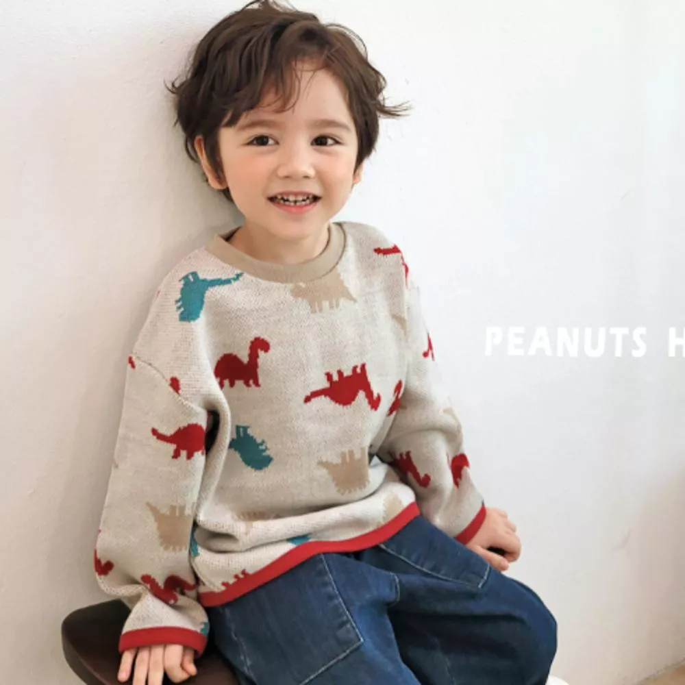 🇰🇷恐龍針織上衣