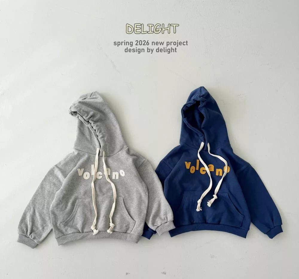 🇰🇷休閒帽T-2色