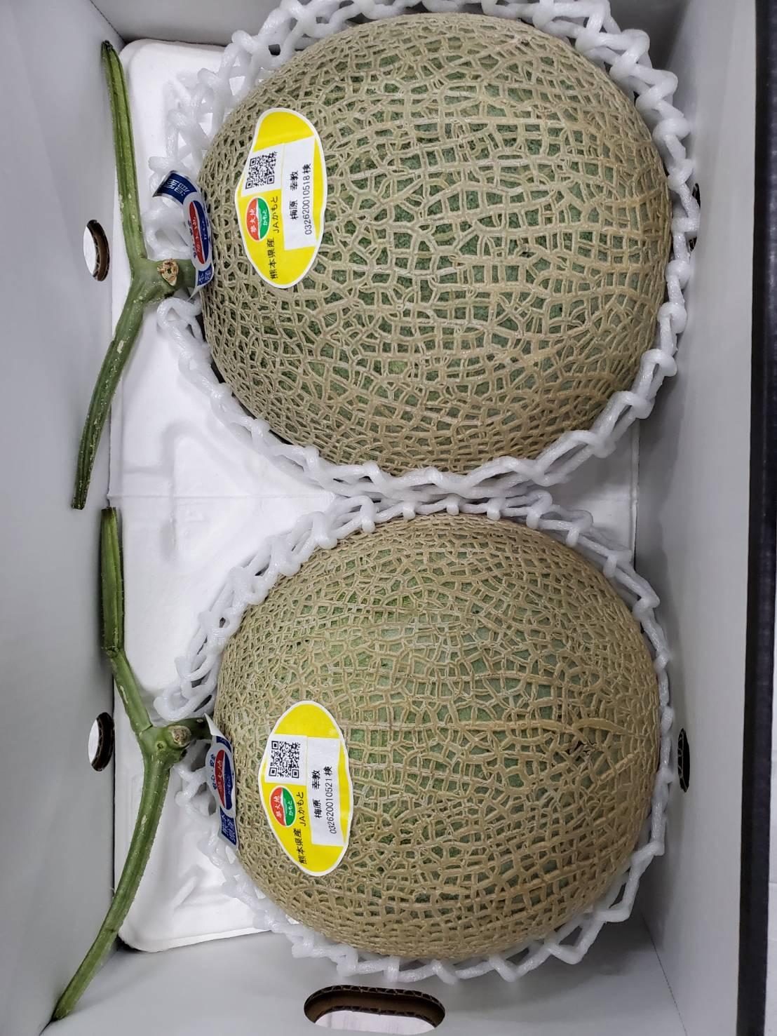 熊本夢未來麝香哈密瓜 2玉裝4kg