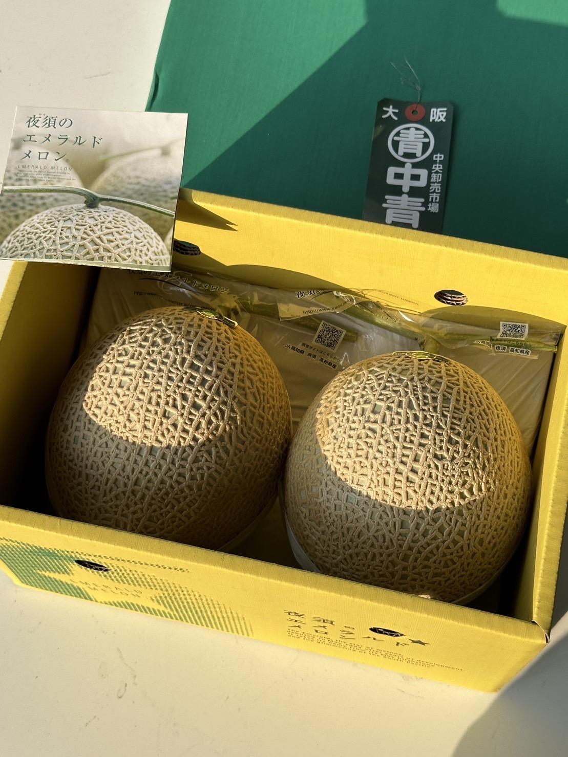 高知縣赤肉哈密瓜 2入禮盒 4kg
