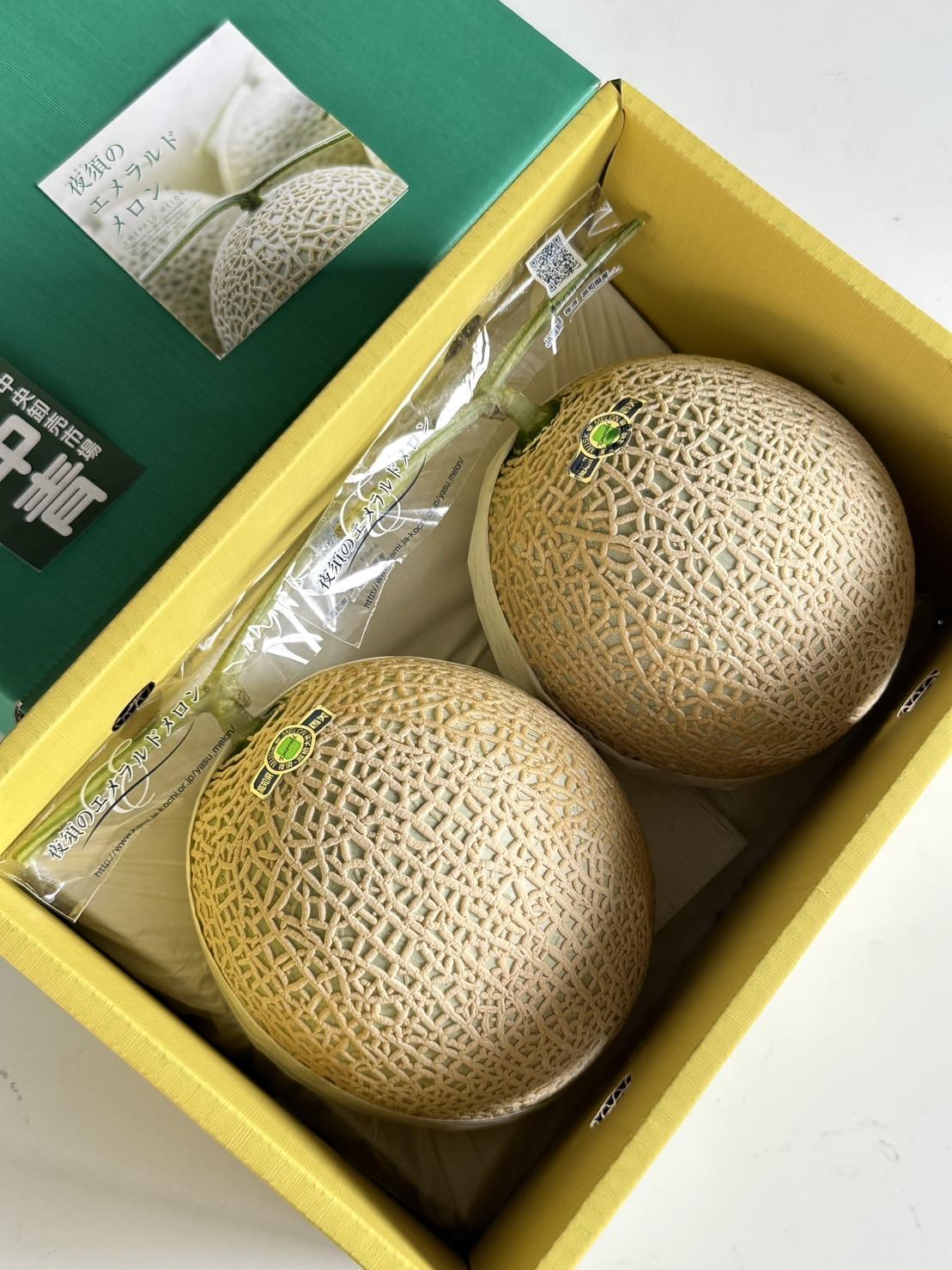 高知縣赤肉哈密瓜 2入禮盒 4kg