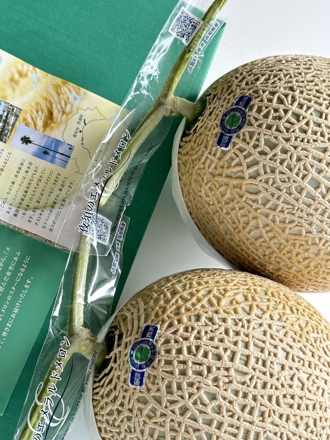 高知縣赤肉哈密瓜 2入禮盒 4kg