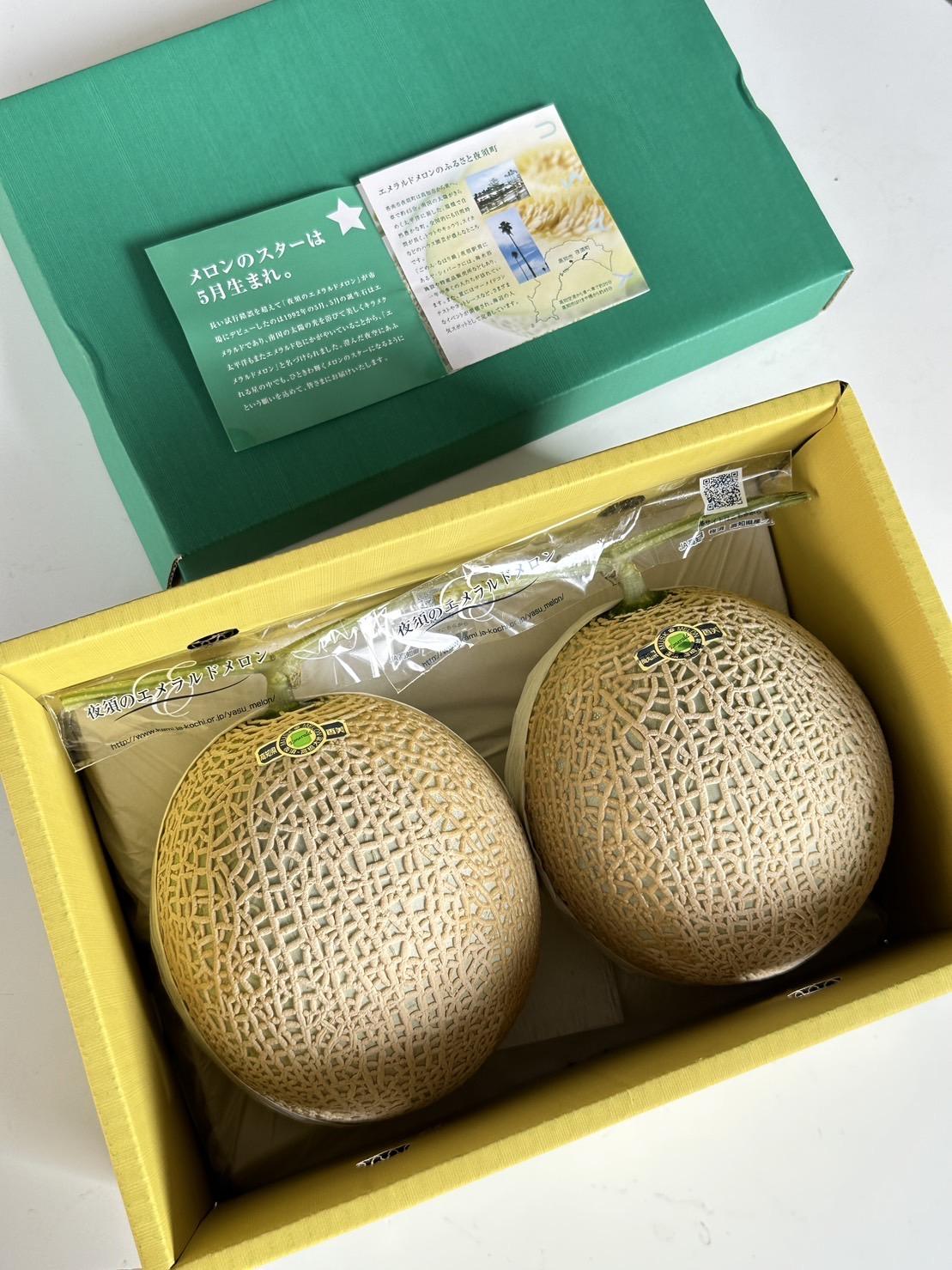 高知縣赤肉哈密瓜 2入禮盒 4kg