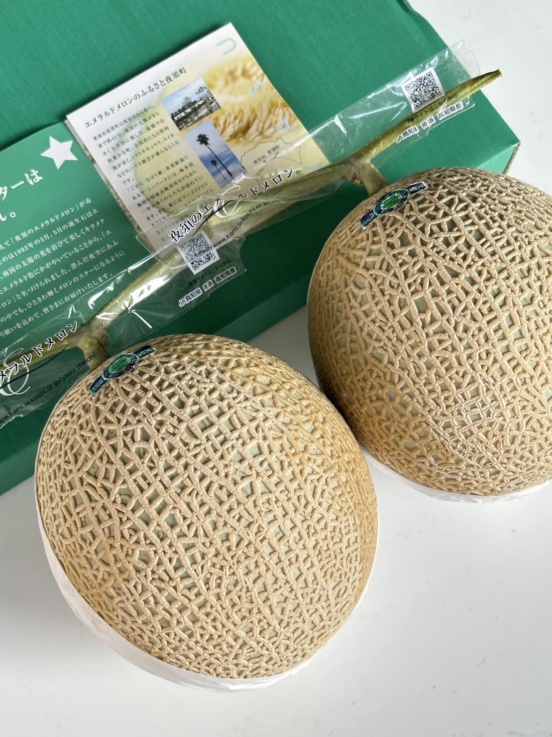 高知縣赤肉哈密瓜 2入禮盒 4kg