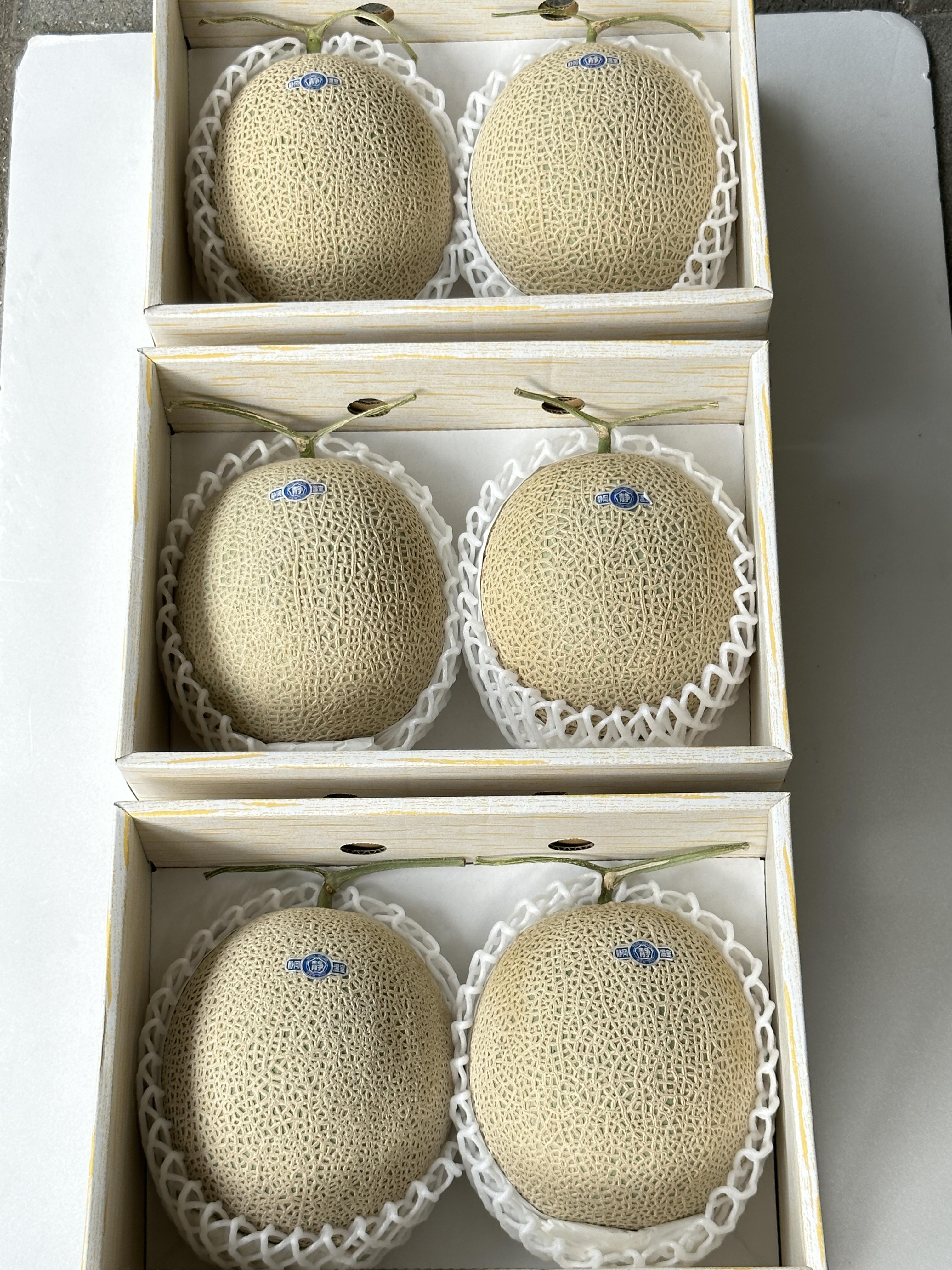 靜岡皇室青肉哈密瓜 2入禮盒4kg