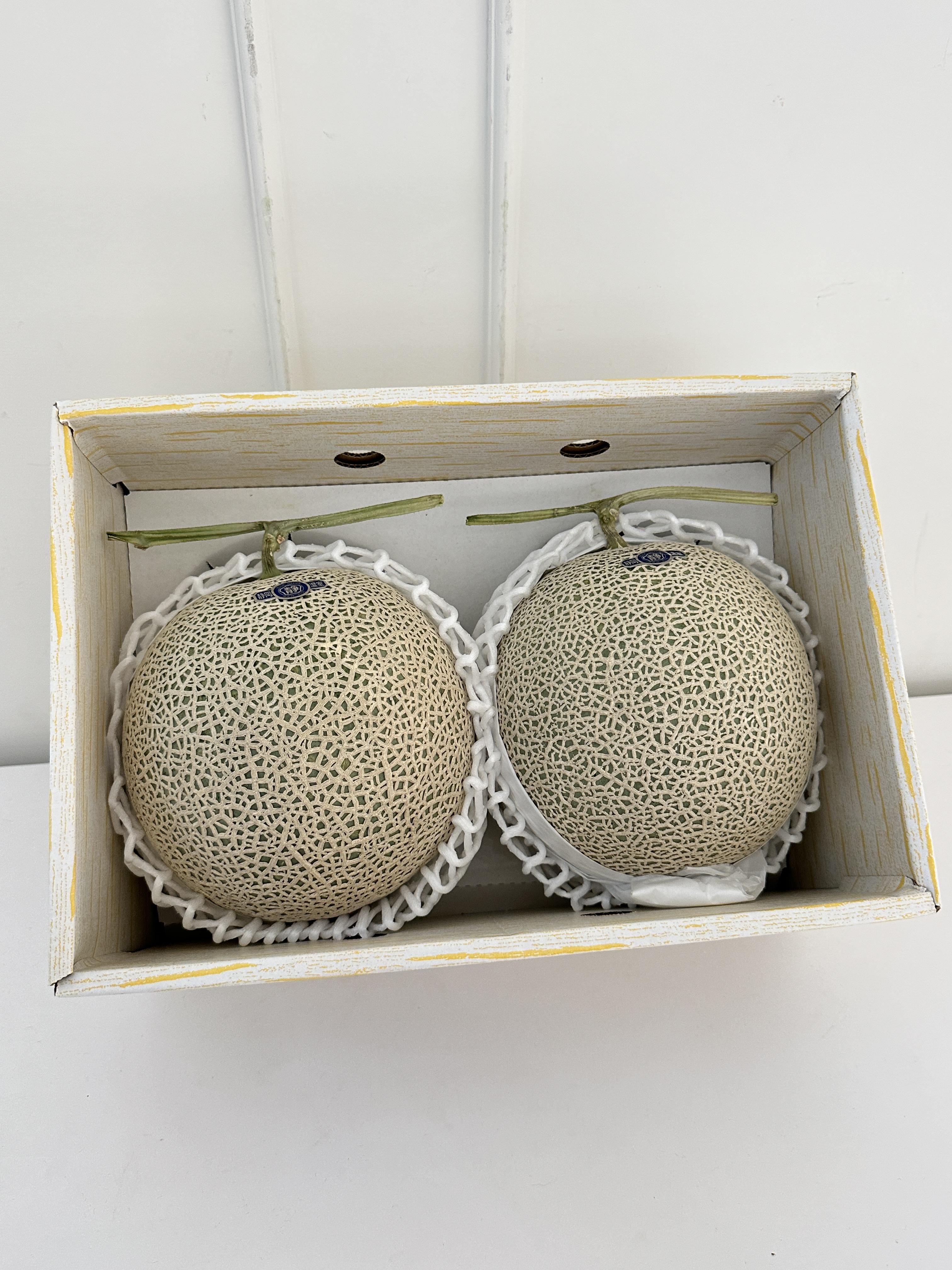 靜岡皇室青肉哈密瓜 2入禮盒4kg