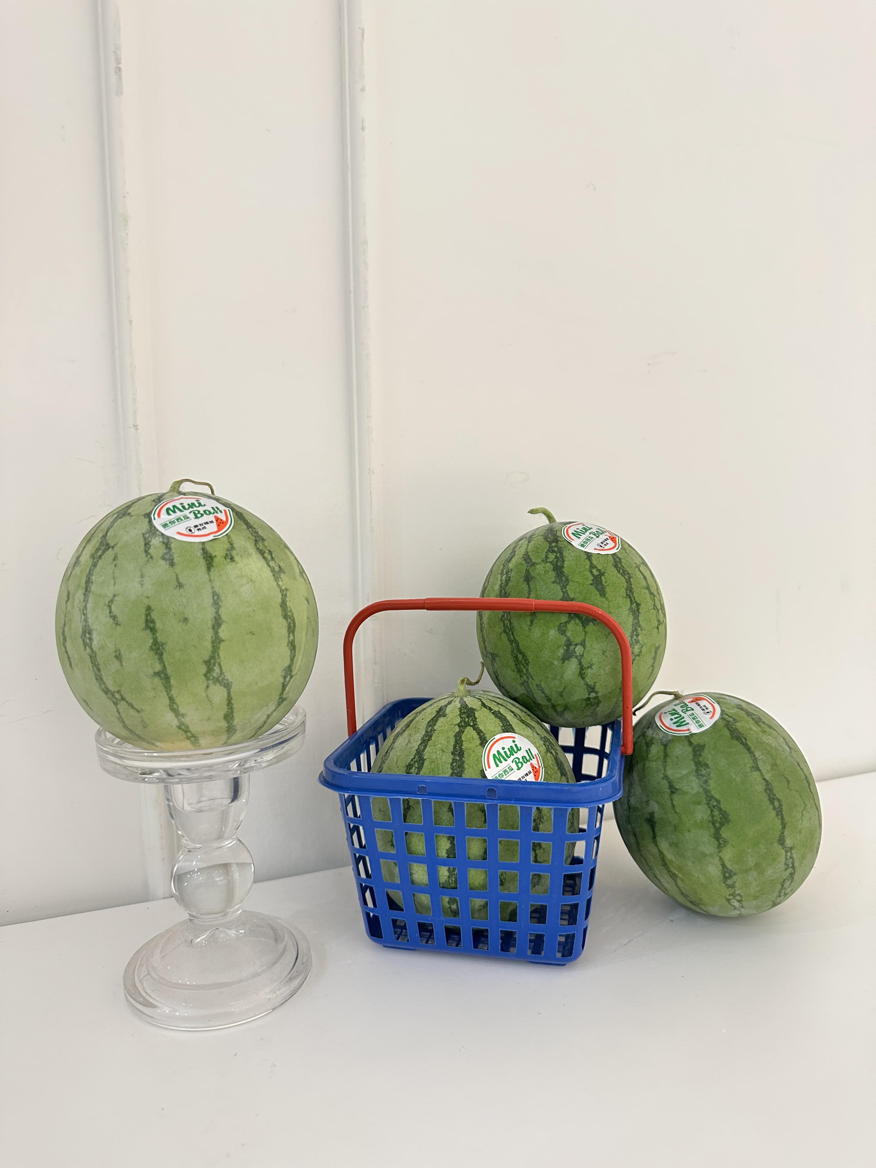嘉義mini ball迷你紅肉西瓜 單顆600g