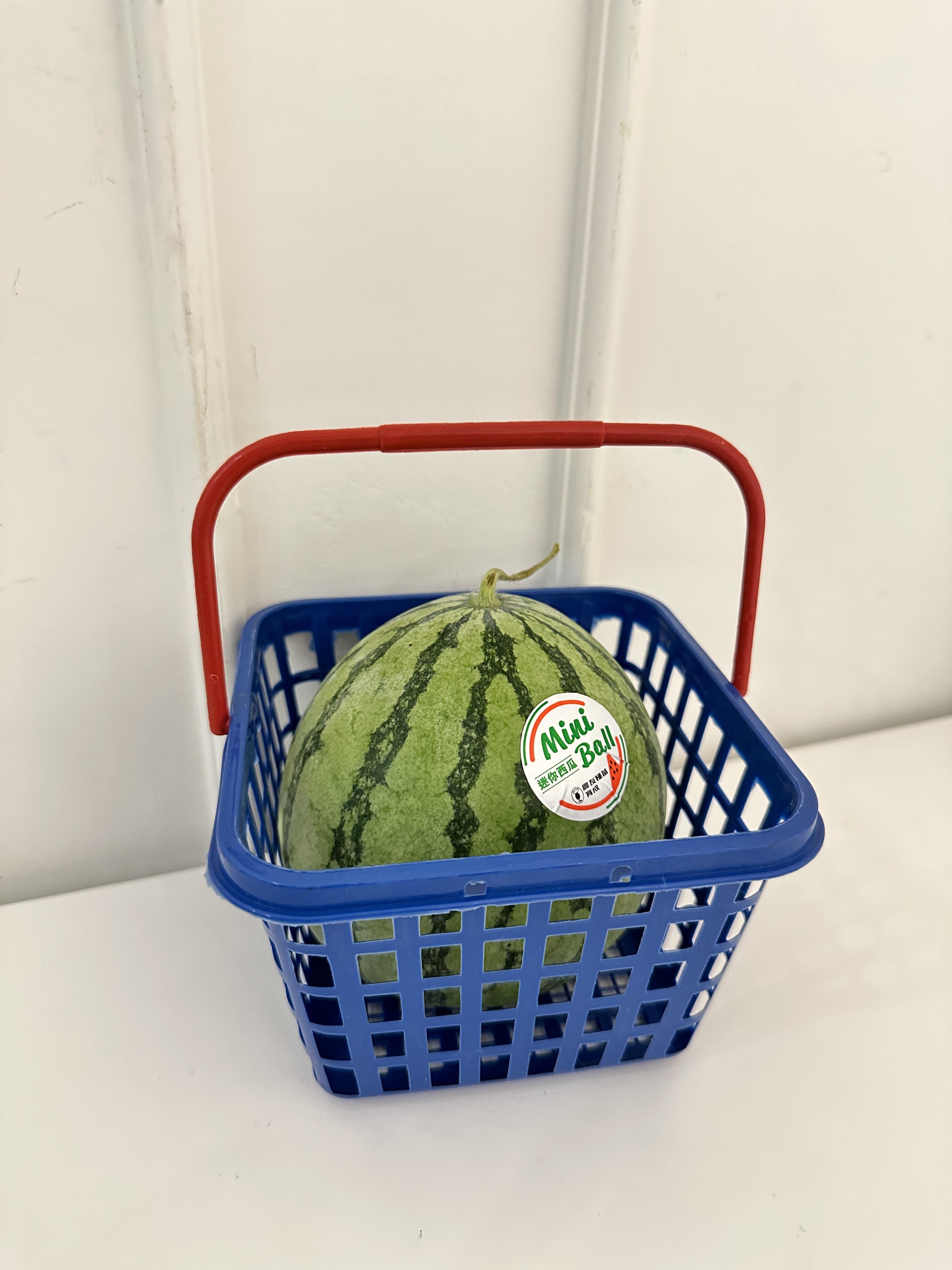 嘉義mini ball迷你紅肉西瓜 單顆600g