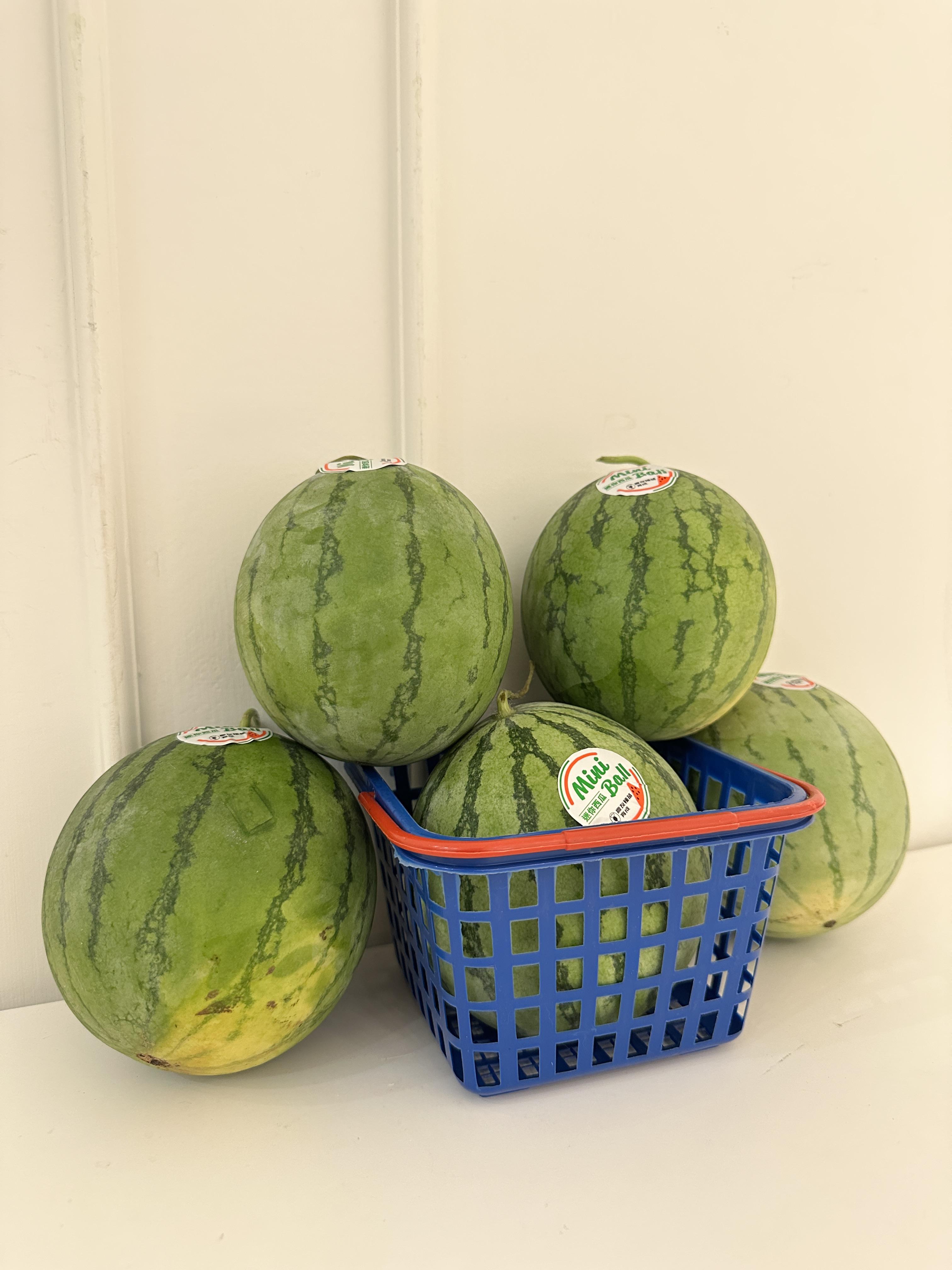 嘉義mini ball迷你紅肉西瓜 單顆600g