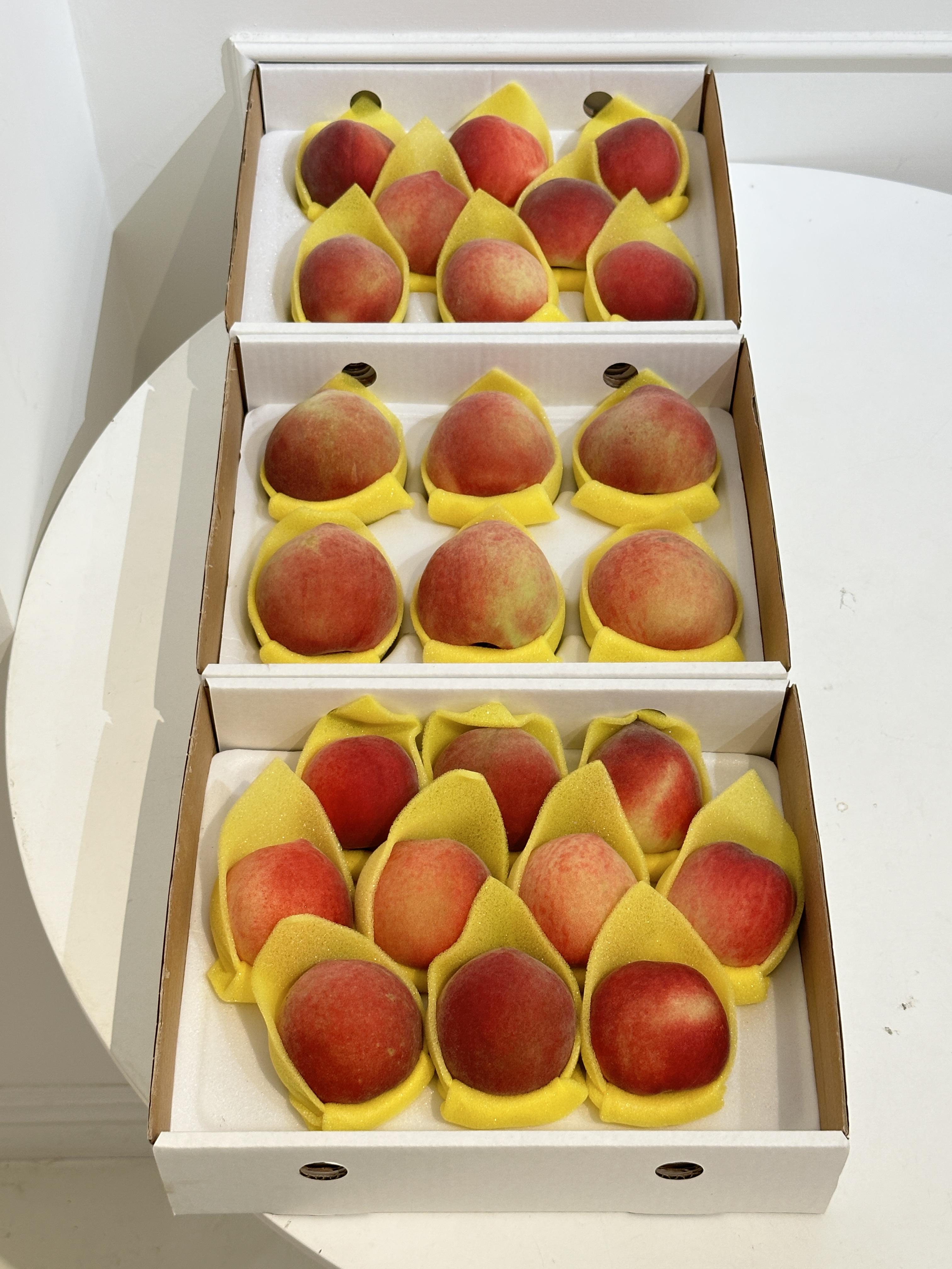新社紅玉水蜜桃 6/8/10玉品規