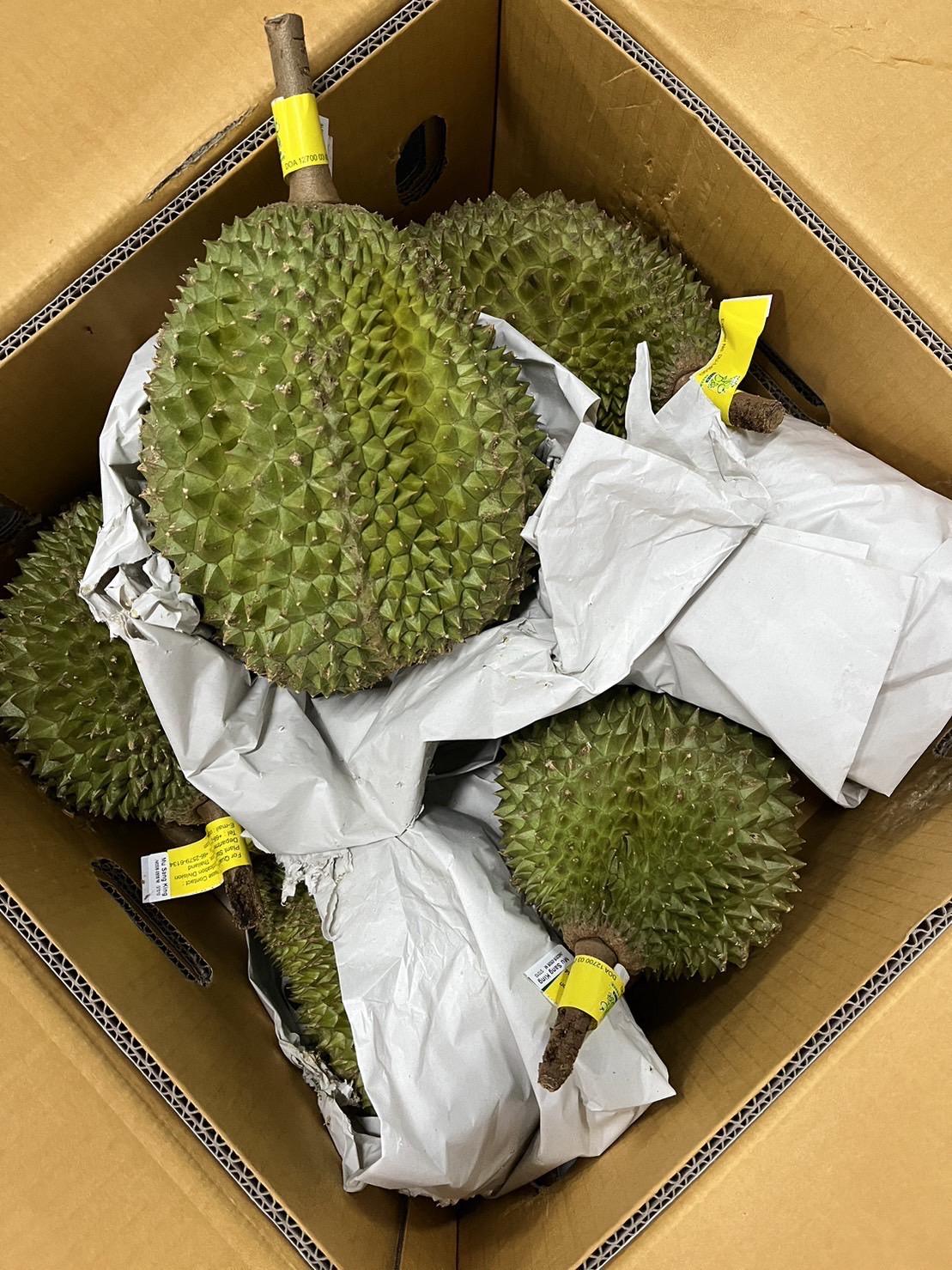 泰國空運 正宗頂級貓山王 (不是托曼尼)