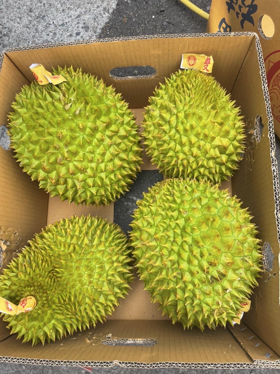 泰國雙魚干堯榴槤 單顆2-2.5kg