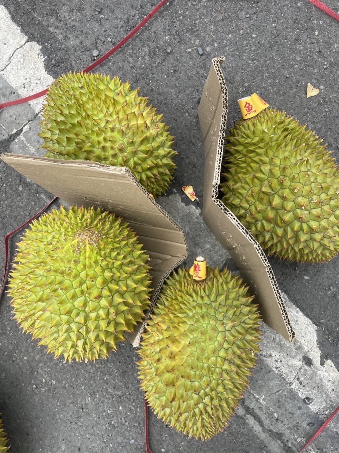 泰國雙魚干堯榴槤 單顆2-2.5kg