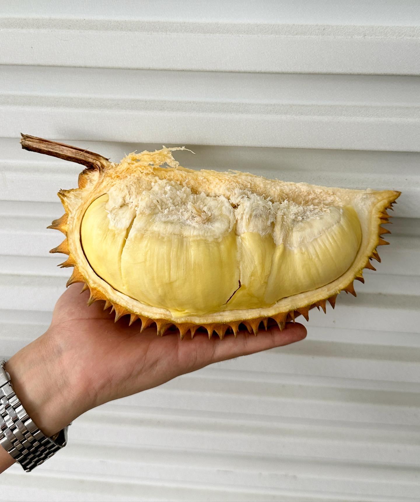泰國雙魚干堯榴槤 單顆2-2.5kg