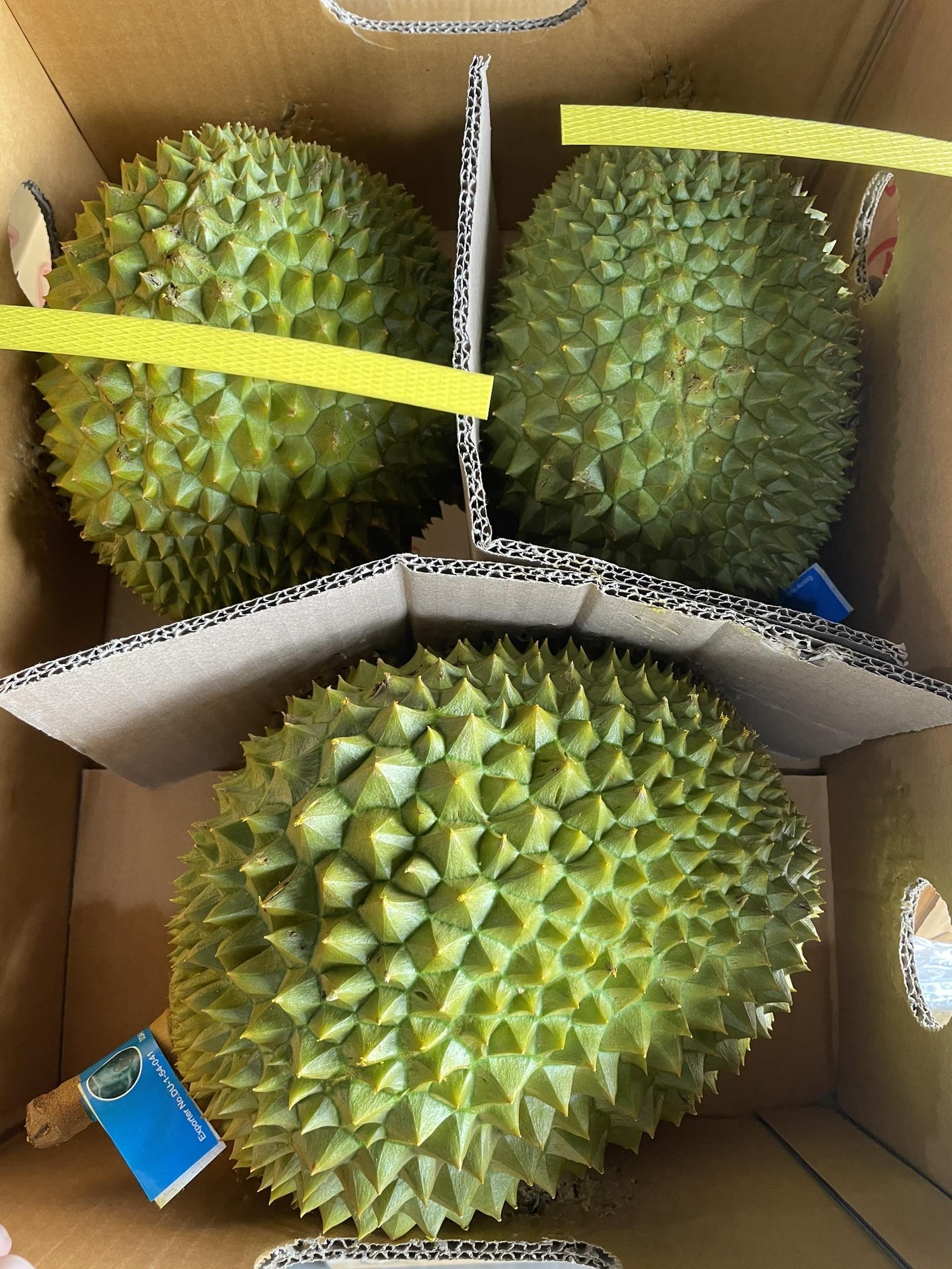 泰國空運 正宗頂級貓山王 (不是托曼尼)