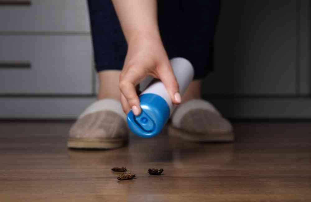 百利普芬 vs 傳統殺蟲劑|5 大使用差異一次看懂