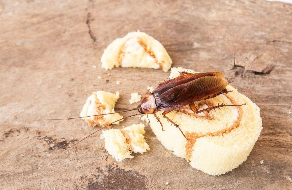 一點絕的優勢在哪？專業團隊的客觀回饋