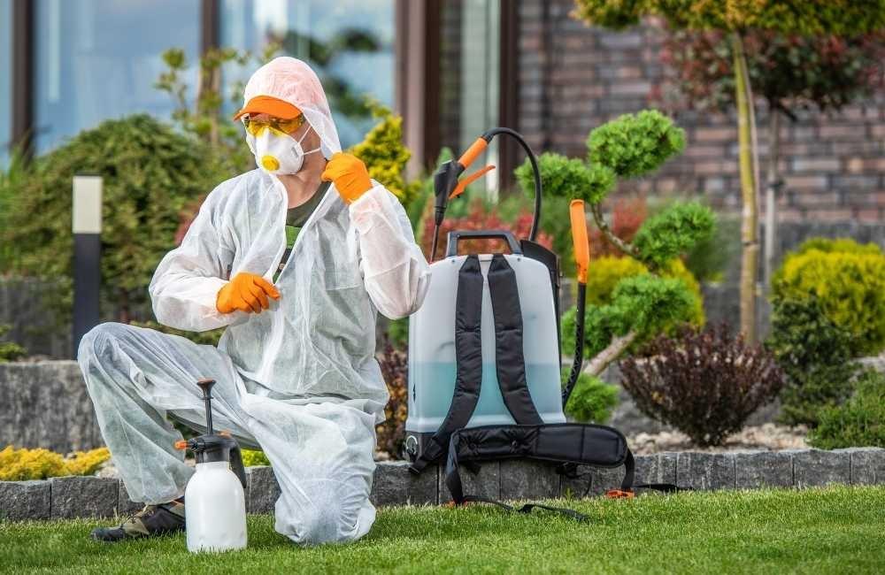 殺蟲劑危害對特殊族群的風險更高