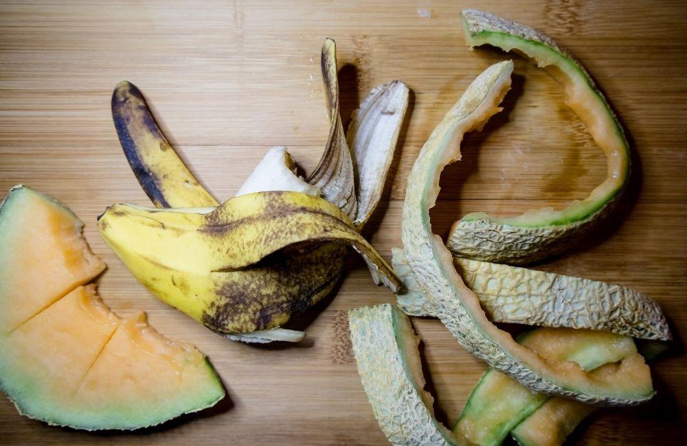 居家果蠅怎麼處理?日常可執行的 4 個有效方向