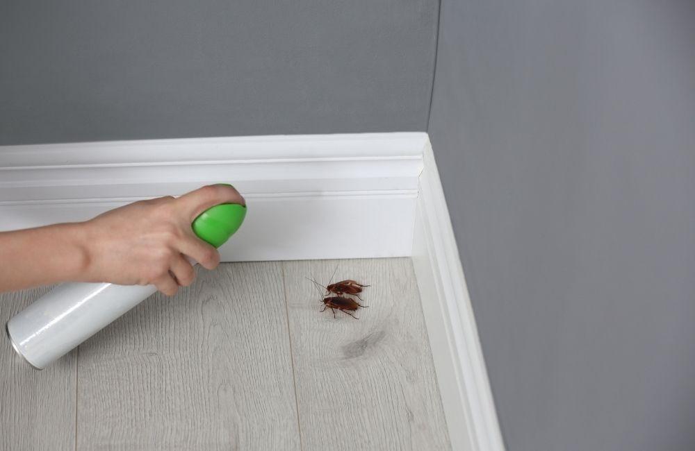 殺蟲劑對人體有害嗎?多數問題其實出在「怎麼用」