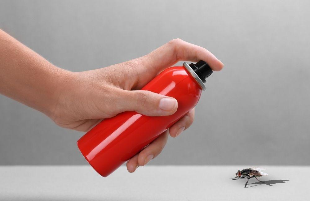 不同空間使用殺蟲劑,風險其實差很多