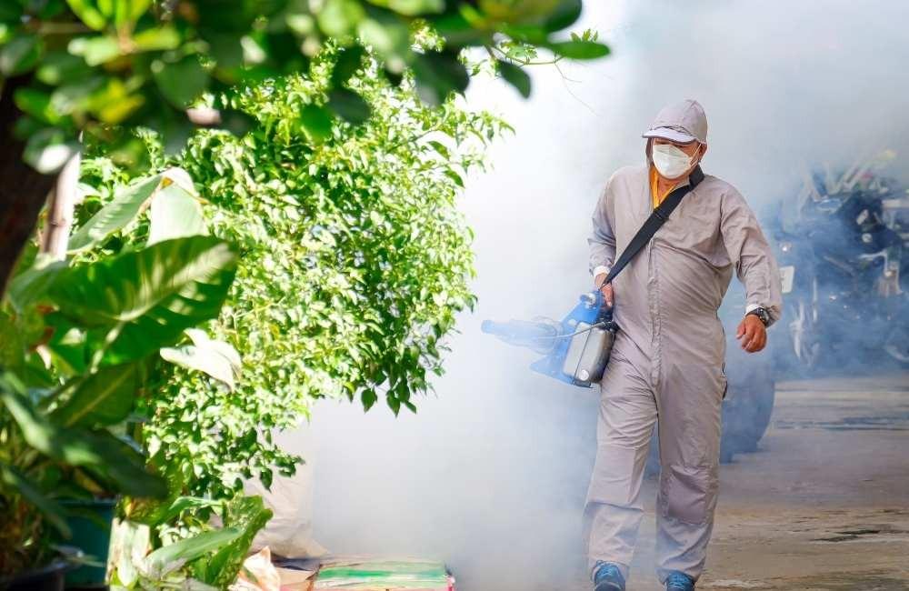南部居家如何做好病媒蚊防治?掌握5大重點降低登革熱風險