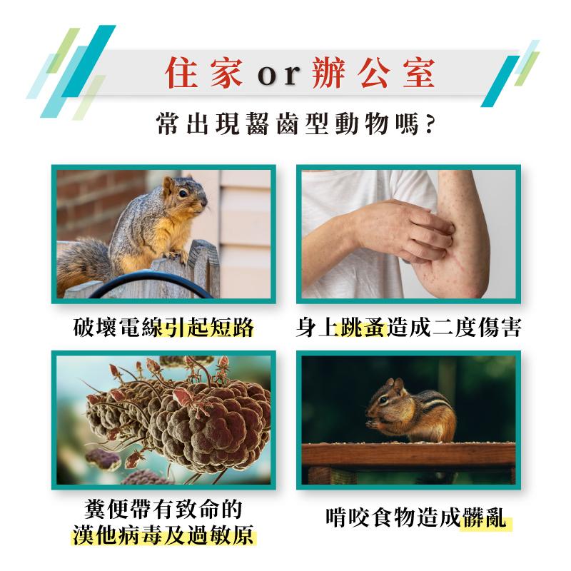 鼠必逃辣椒噴霧驅鼠劑(500ml)